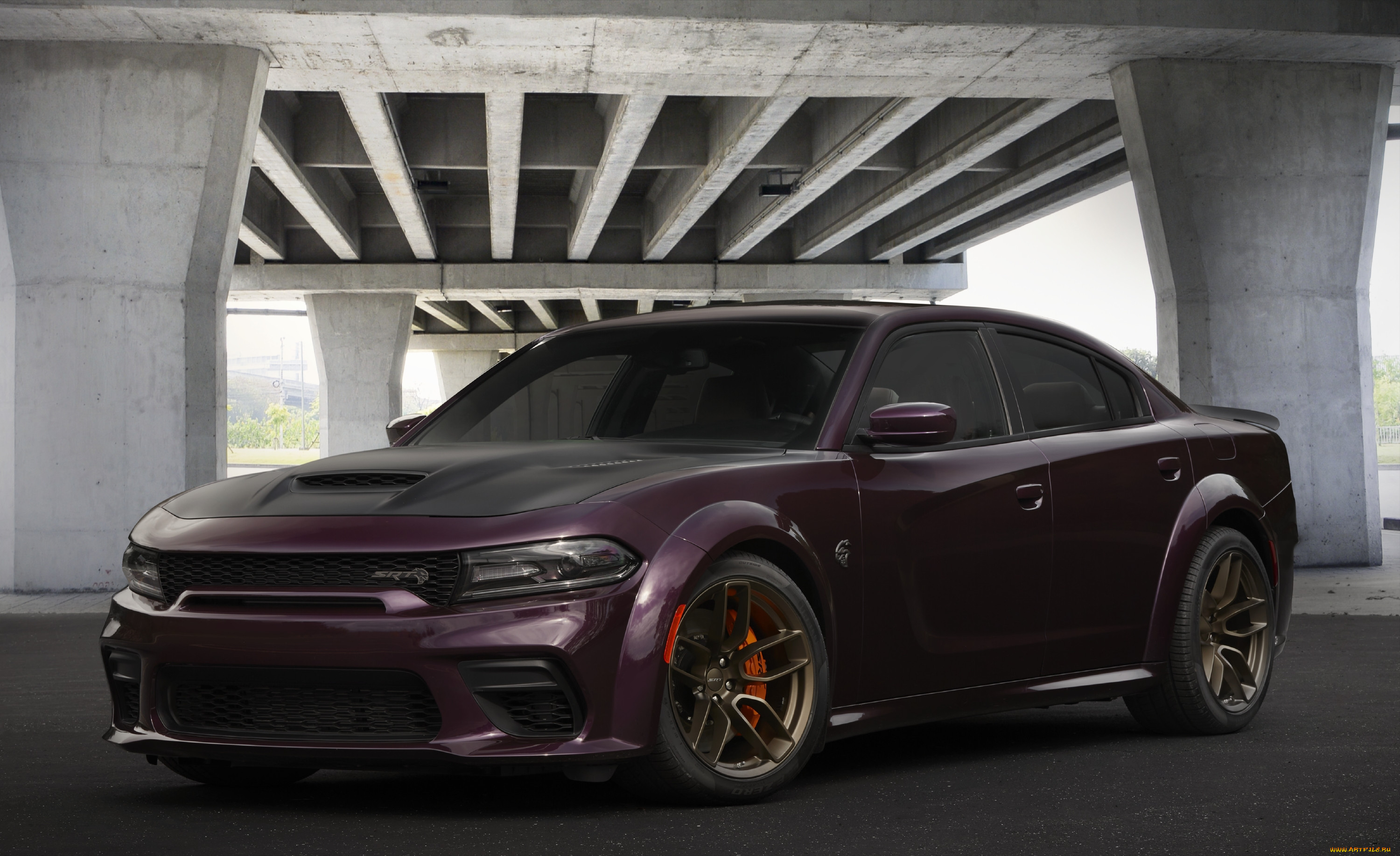 , dodge